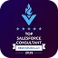 Top Salesforce Consultant - DesignRush 2025