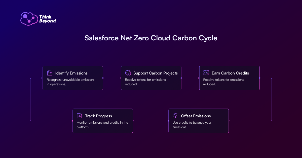Flowchart illustrating Salesforce's Net Zero Cloud Carbon Cycle, detailing steps to identify, track, support, earn, and offset carbon emissions.
